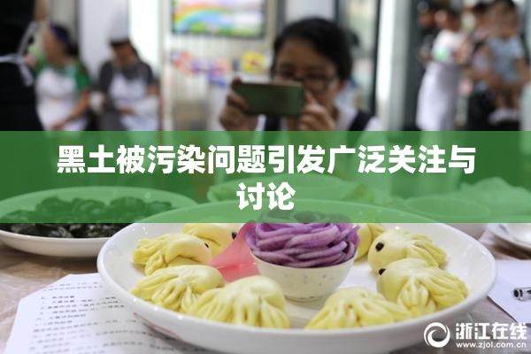 黑土被污染问题引发广泛关注与讨论