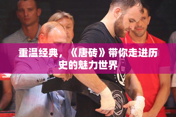 重温经典，《唐砖》带你走进历史的魅力世界