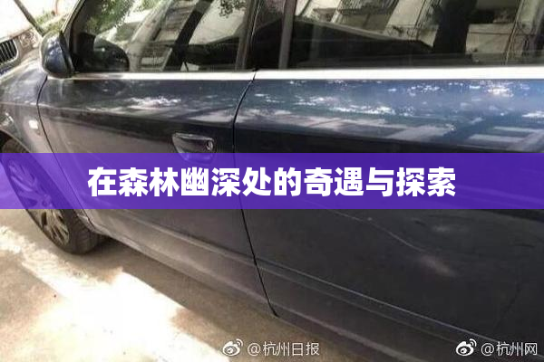 在森林幽深处的奇遇与探索