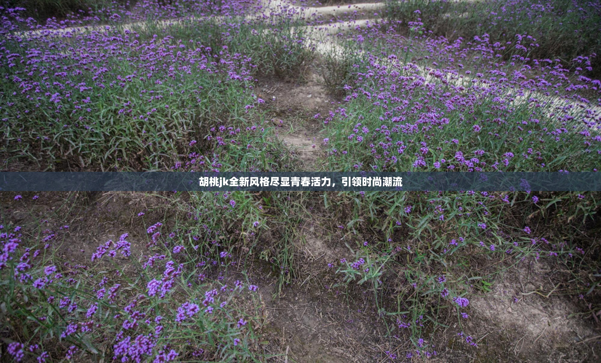 胡桃jk全新风格尽显青春活力，引领时尚潮流