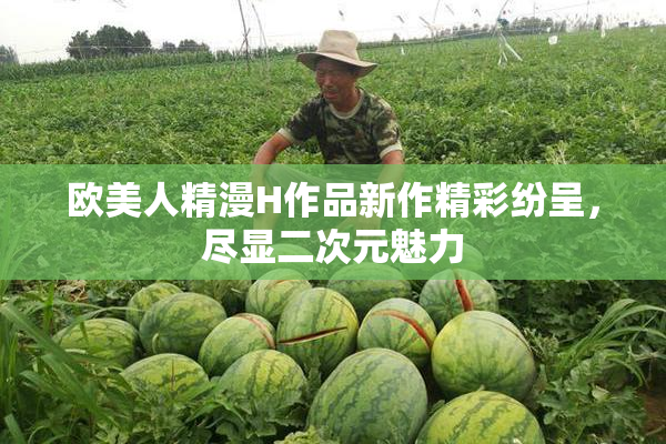欧美人精漫H作品新作精彩纷呈，尽显二次元魅力
