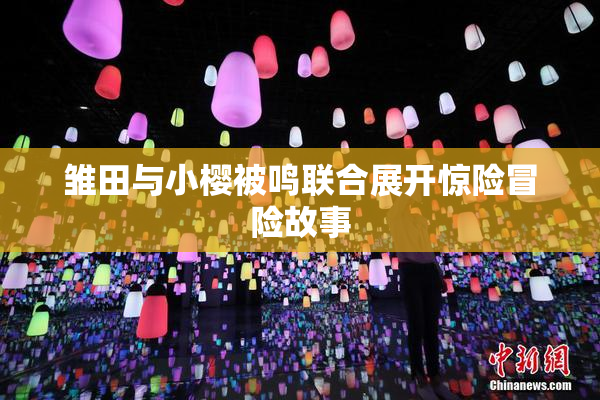 雏田与小樱被鸣联合展开惊险冒险故事