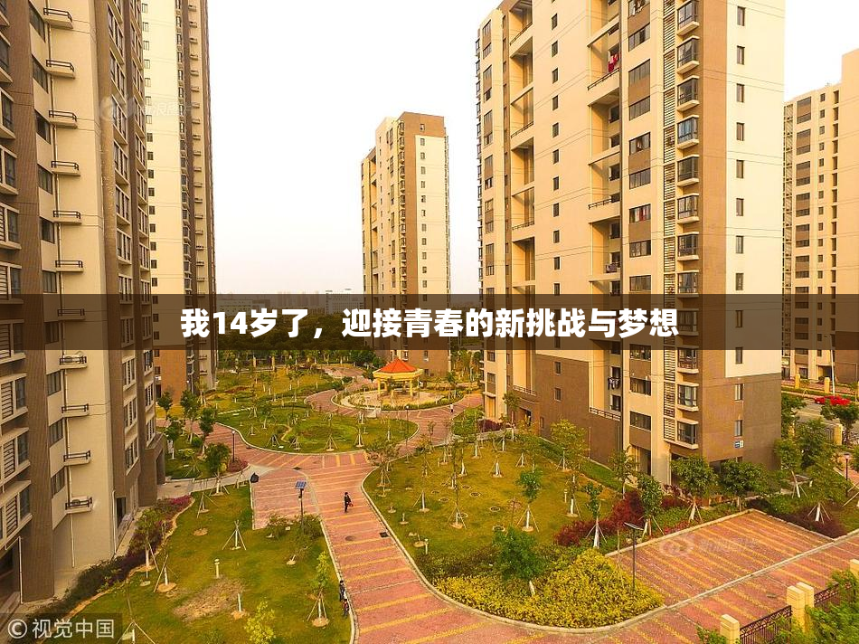 我14岁了，迎接青春的新挑战与梦想