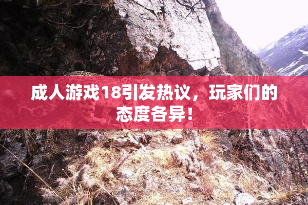 成人游戏18引发热议，玩家们的态度各异！