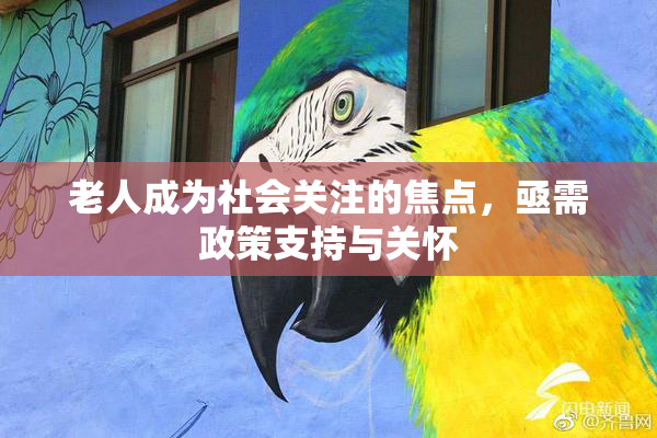 老人成为社会关注的焦点，亟需政策支持与关怀