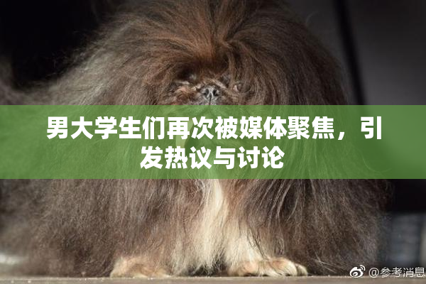 男大学生们再次被媒体聚焦，引发热议与讨论