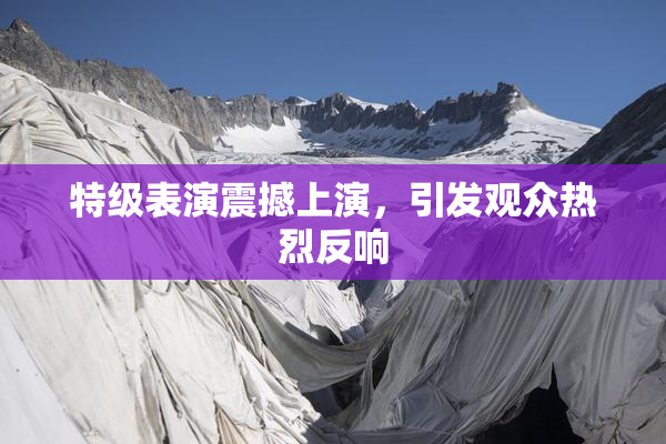 特级表演震撼上演，引发观众热烈反响