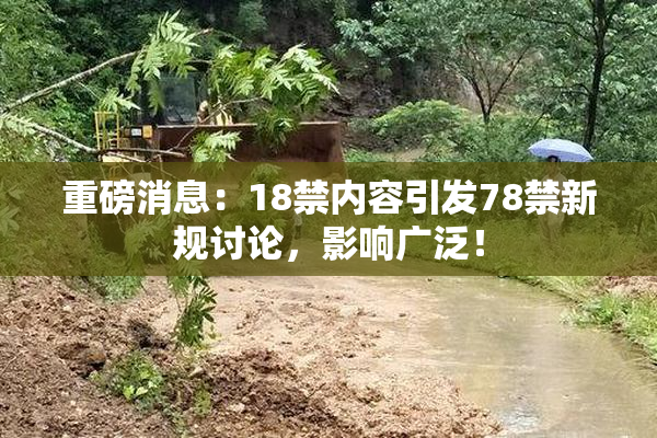 重磅消息：18禁内容引发78禁新规讨论，影响广泛！