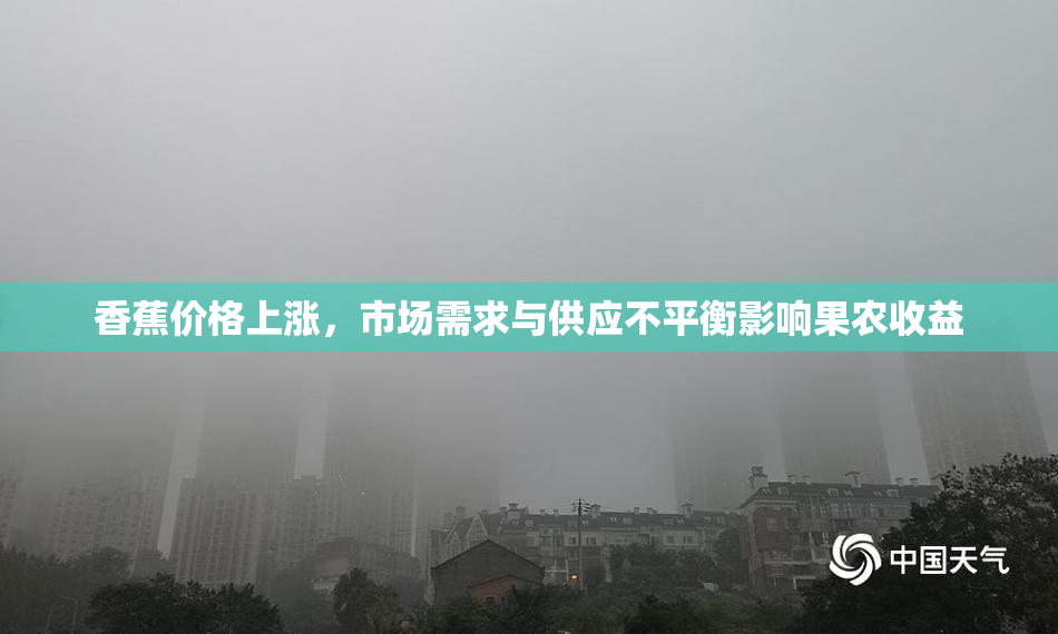 香蕉价格上涨，市场需求与供应不平衡影响果农收益