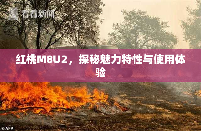 红桃M8U2，探秘魅力特性与使用体验