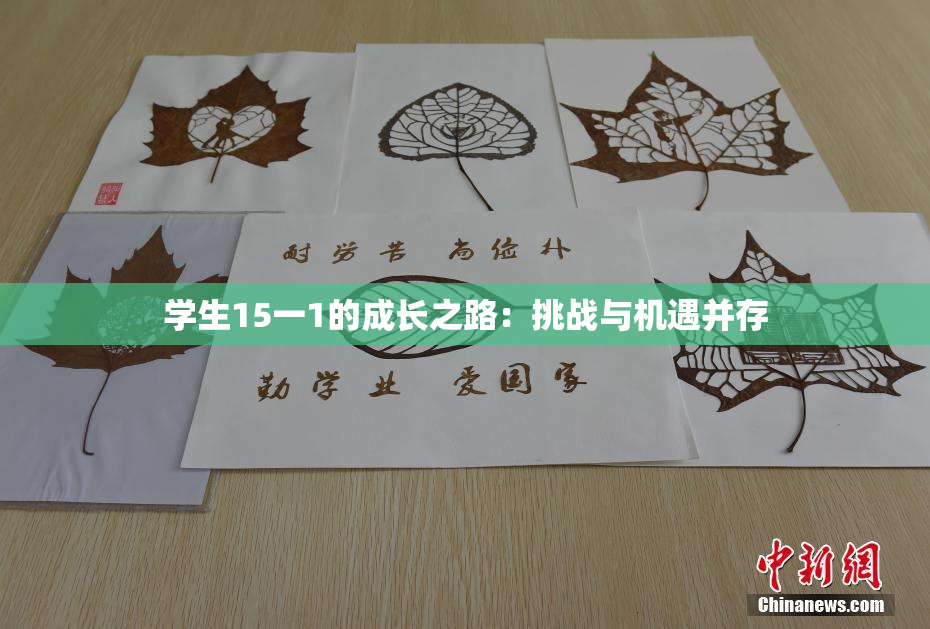 学生15一1的成长之路：挑战与机遇并存