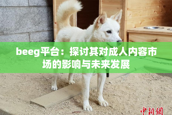 beeg平台：探讨其对成人内容市场的影响与未来发展