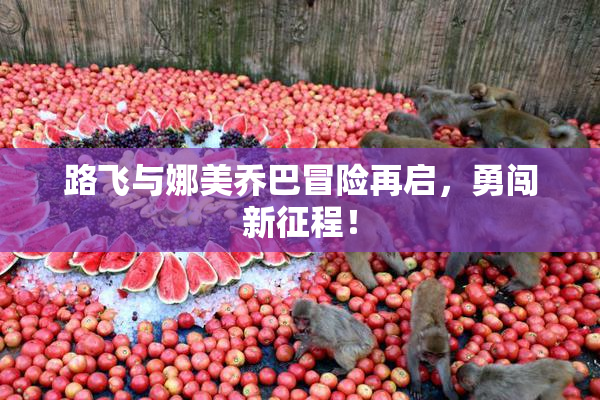 路飞与娜美乔巴冒险再启，勇闯新征程！