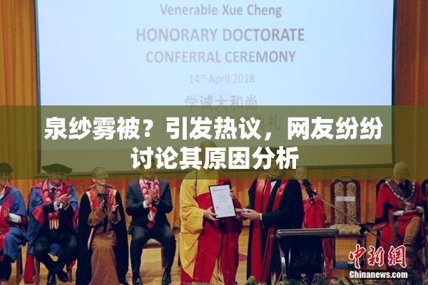 泉纱雾被？引发热议，网友纷纷讨论其原因分析