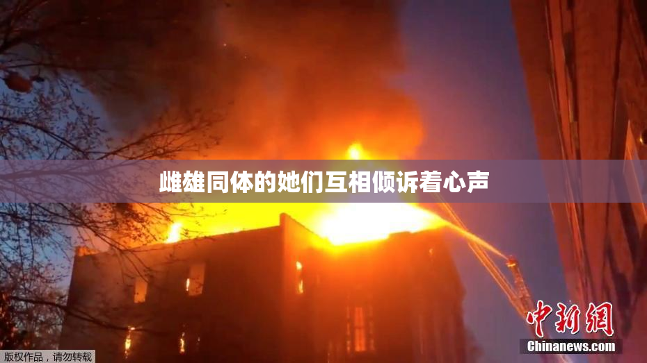 雌雄同体的她们互相倾诉着心声