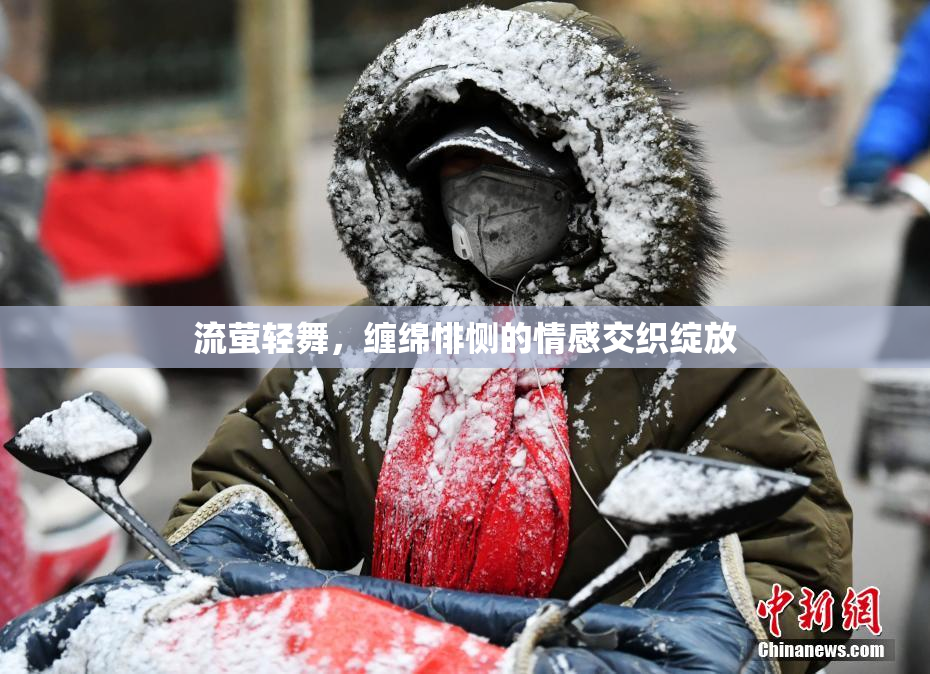 流萤轻舞，缠绵悱恻的情感交织绽放