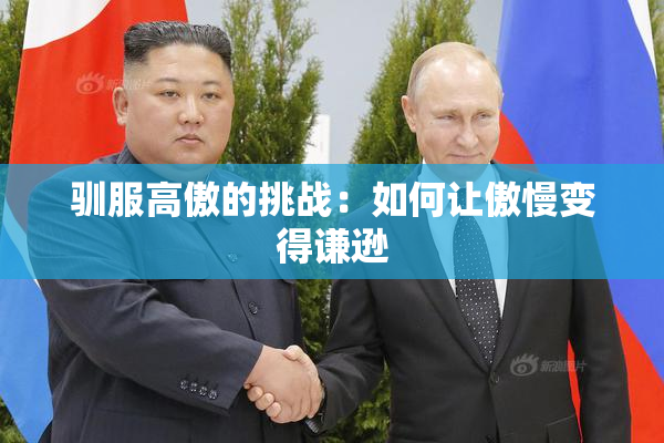 驯服高傲的挑战：如何让傲慢变得谦逊