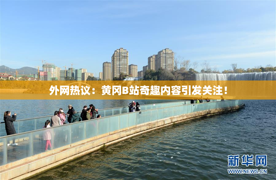 外网热议：黄冈B站奇趣内容引发关注！