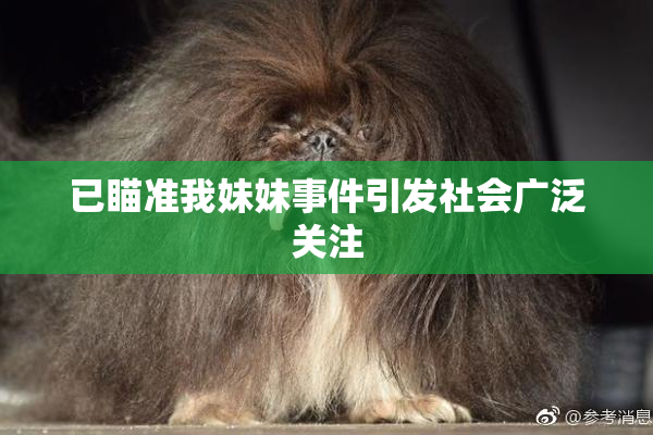 已瞄准我妹妹事件引发社会广泛关注