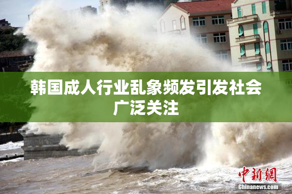 韩国成人行业乱象频发引发社会广泛关注