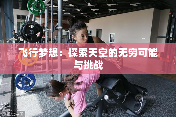 飞行梦想：探索天空的无穷可能与挑战