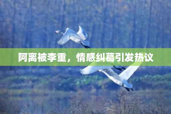 阿离被李重，情感纠葛引发热议