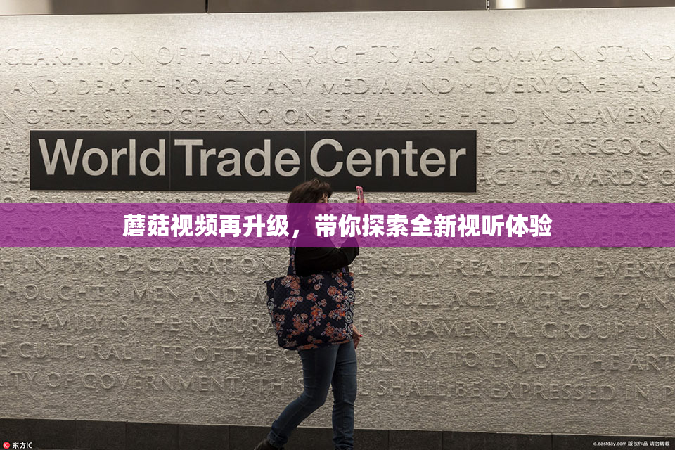 蘑菇视频再升级，带你探索全新视听体验