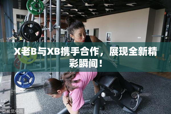 X老B与XB携手合作，展现全新精彩瞬间！