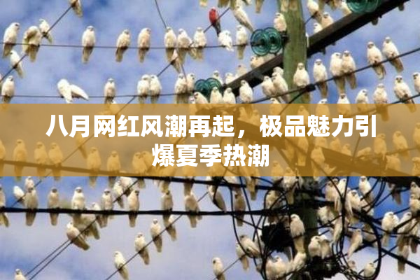 八月网红风潮再起，极品魅力引爆夏季热潮