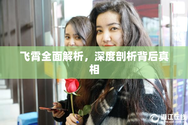 飞霄全面解析，深度剖析背后真相