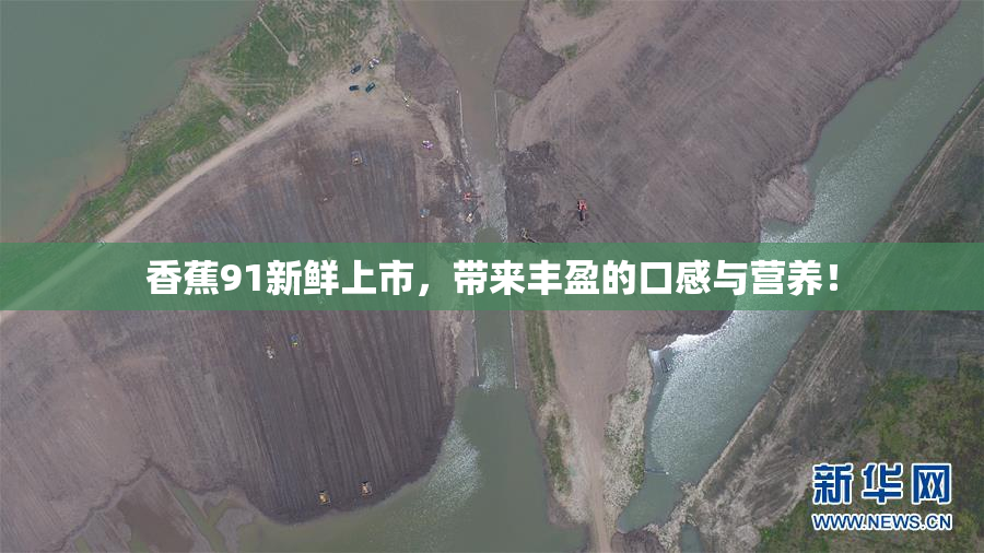 香蕉91新鲜上市，带来丰盈的口感与营养！