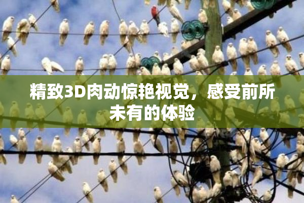 精致3D肉动惊艳视觉，感受前所未有的体验