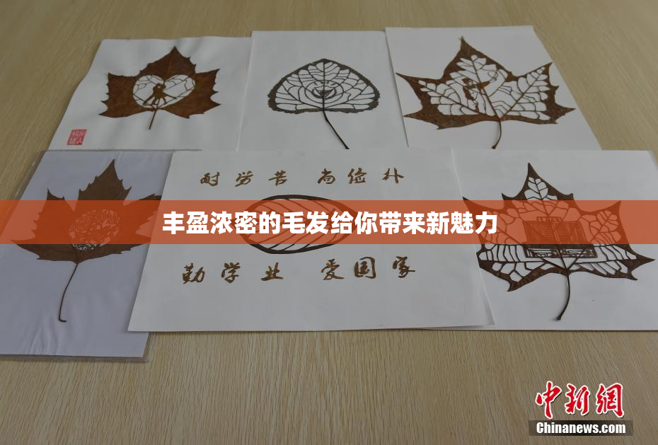 丰盈浓密的毛发给你带来新魅力