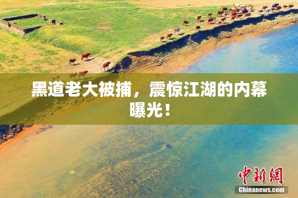 黑道老大被捕，震惊江湖的内幕曝光！