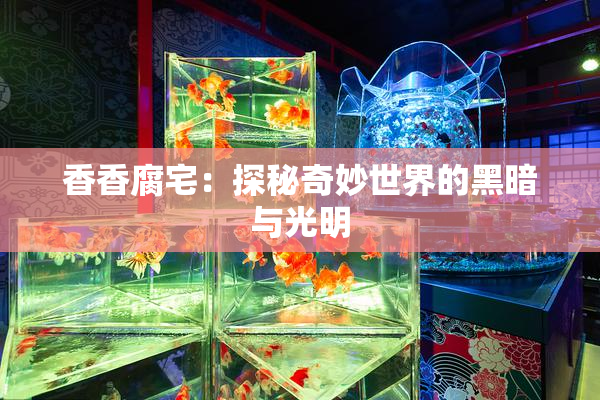 香香腐宅：探秘奇妙世界的黑暗与光明