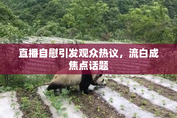 直播自慰引发观众热议，流白成焦点话题