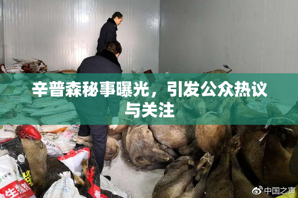 辛普森秘事曝光，引发公众热议与关注