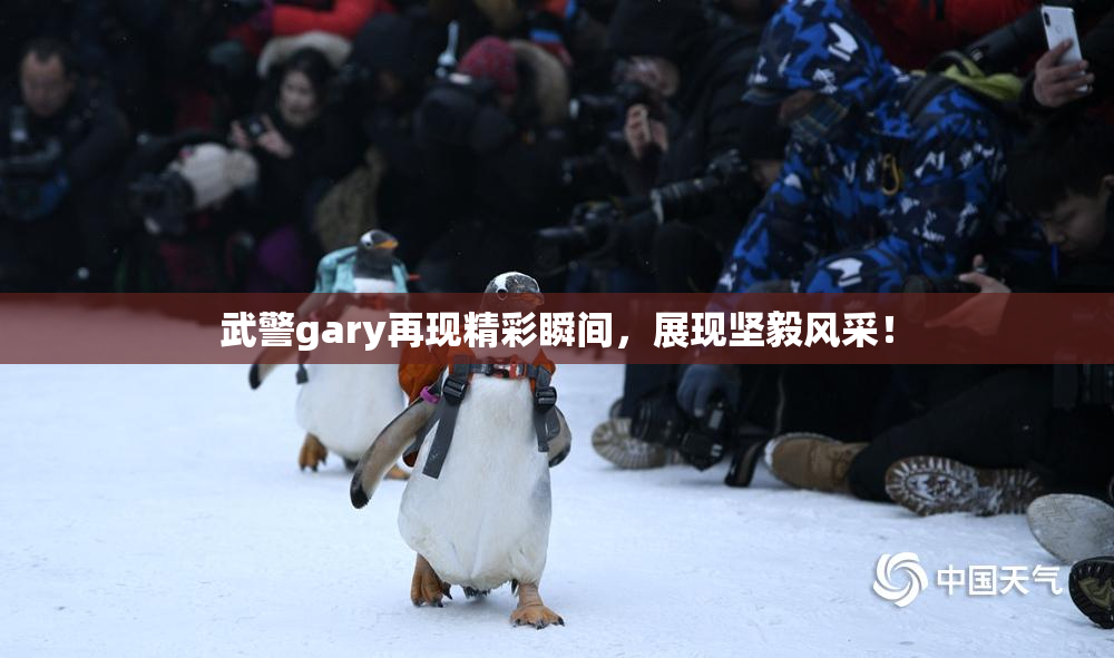 武警gary再现精彩瞬间，展现坚毅风采！
