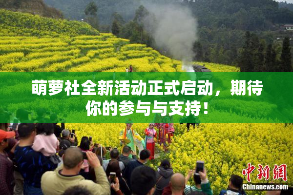 萌萝社全新活动正式启动，期待你的参与与支持！