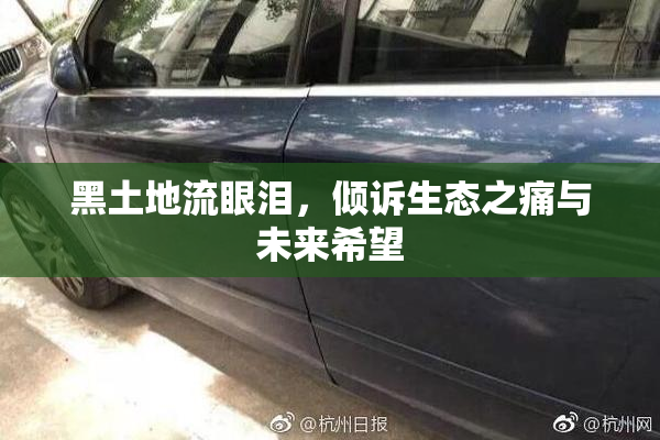 黑土地流眼泪，倾诉生态之痛与未来希望
