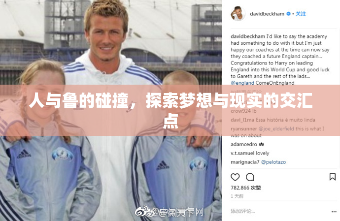 人与鲁的碰撞，探索梦想与现实的交汇点
