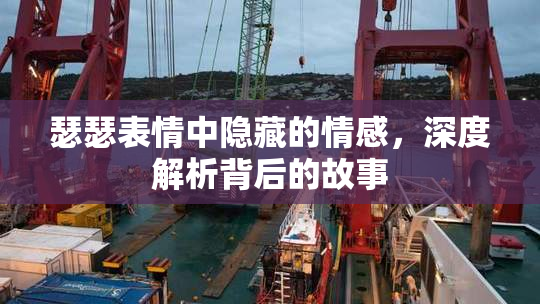 瑟瑟表情中隐藏的情感，深度解析背后的故事