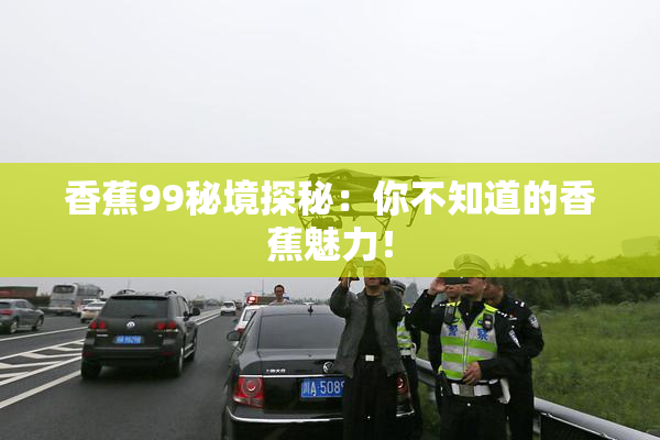 香蕉99秘境探秘：你不知道的香蕉魅力！