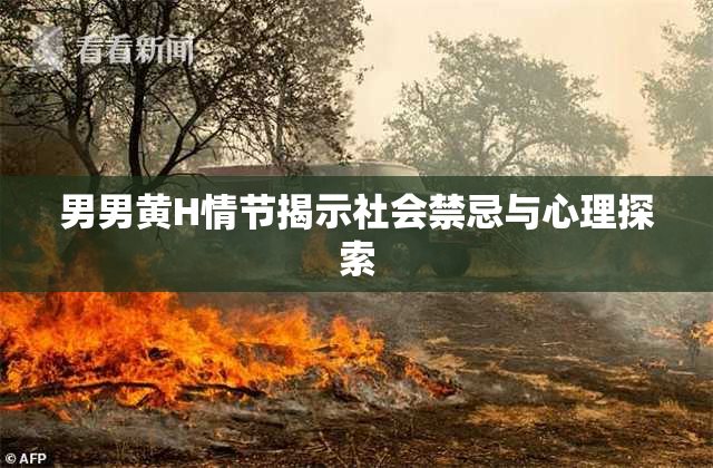 男男黄H情节揭示社会禁忌与心理探索