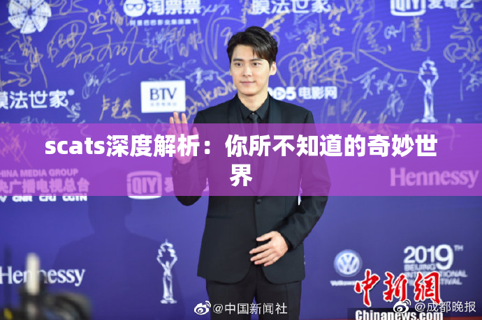 scats深度解析：你所不知道的奇妙世界