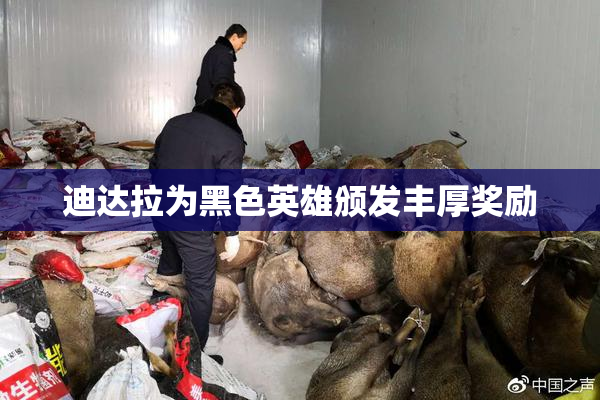 迪达拉为黑色英雄颁发丰厚奖励