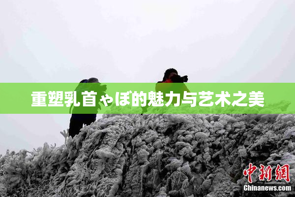 重塑乳首ゃぼ的魅力与艺术之美