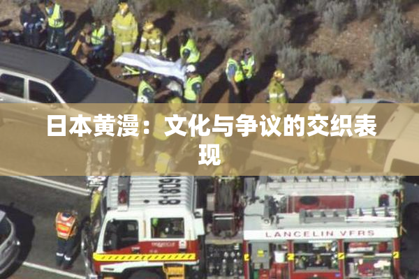 日本黄漫：文化与争议的交织表现