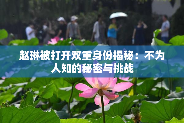 赵琳被打开双重身份揭秘：不为人知的秘密与挑战