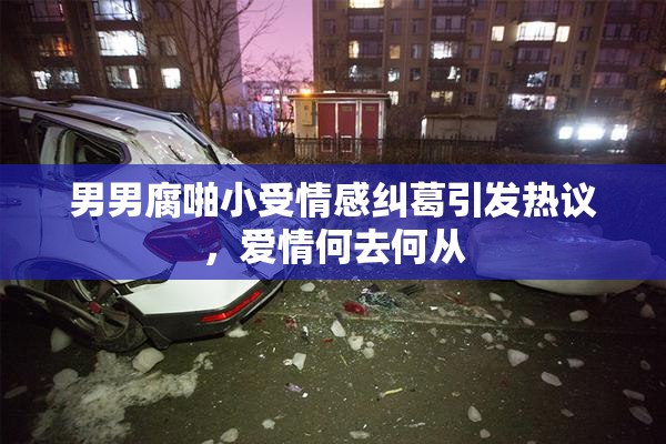 男男腐啪小受情感纠葛引发热议，爱情何去何从